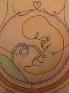 Tekening fetus